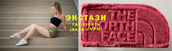 прущие грибы Абинск