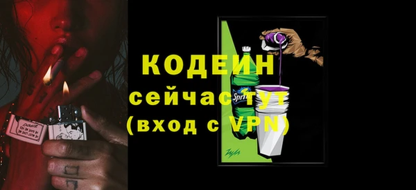прущие грибы Абинск