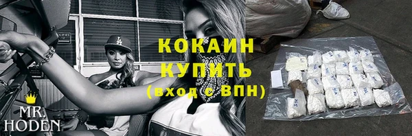 прущие грибы Абинск