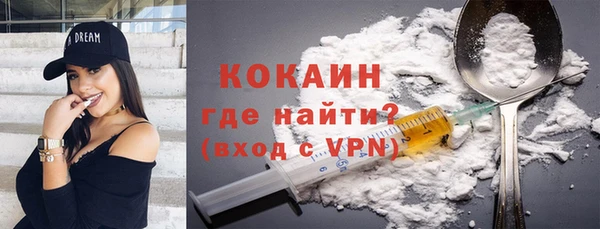 тгк Абаза