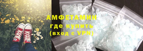 прущие грибы Абинск